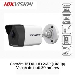 Hikvision DS-2CD1021-I